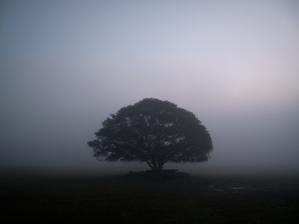 LandscapeImage5